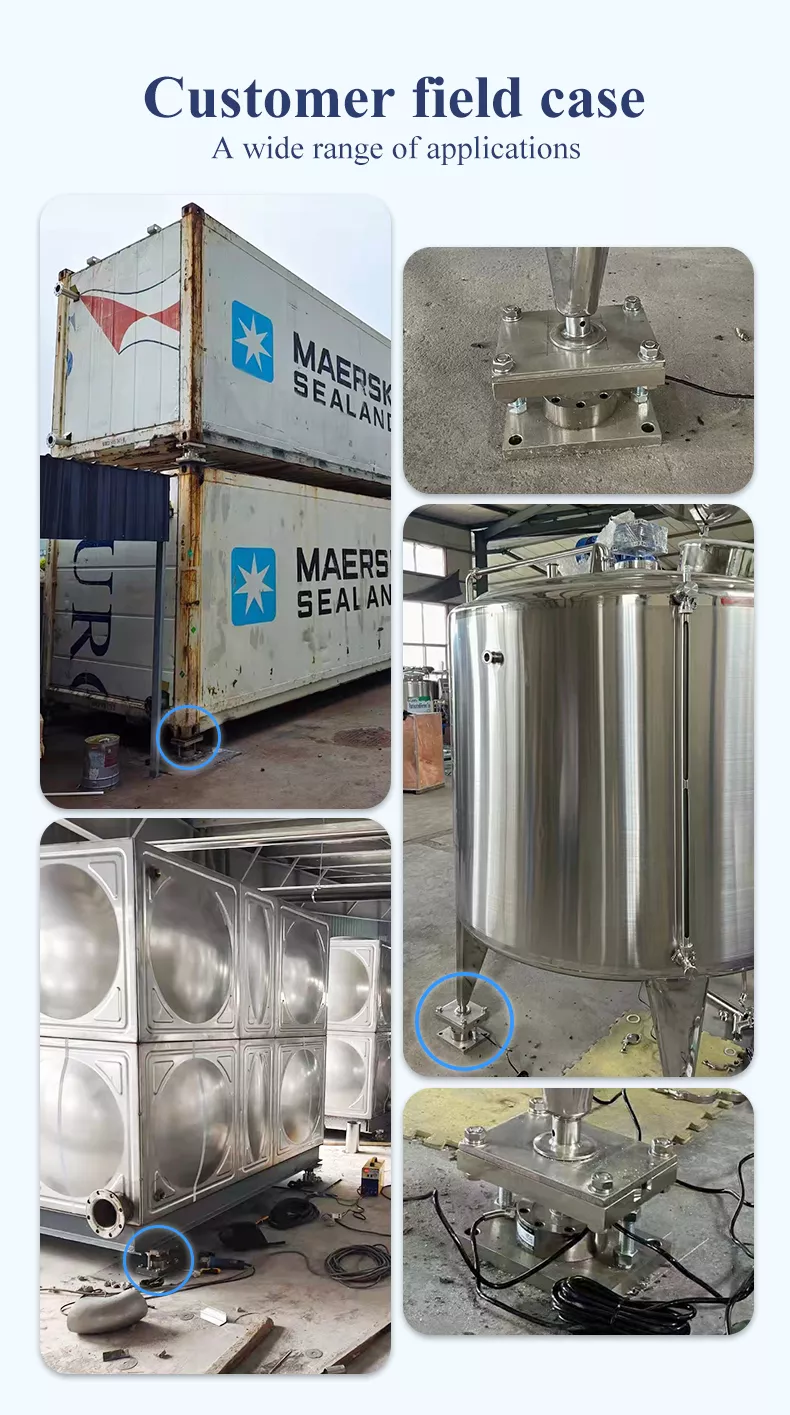 DYMK-001 Weighing Module (30 kg - 5 ton)