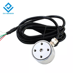 DYZ-101 Miniature Column Load Cell (1-2000kg)